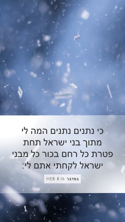 במדבר 8:16 HEB Bible Verse Image