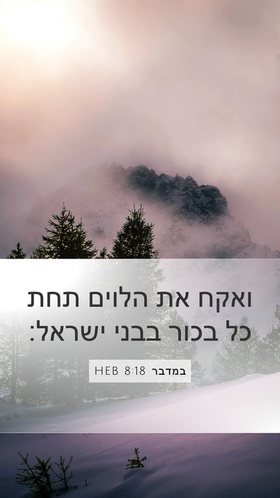 במדבר 8:18 HEB Bible Verse Image