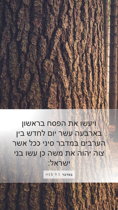 במדבר 9:5 HEB Bible Verse Image