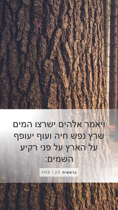 בראשית 1:20 HEB Bible Verse Image