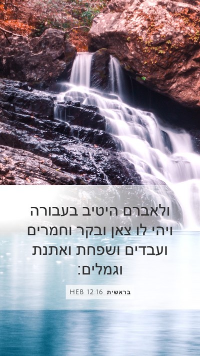 בראשית 12:16 HEB Bible Verse Image