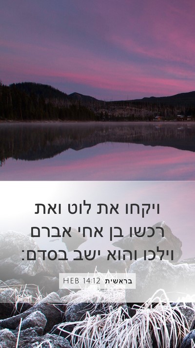 בראשית 14:12 HEB Bible Verse Image