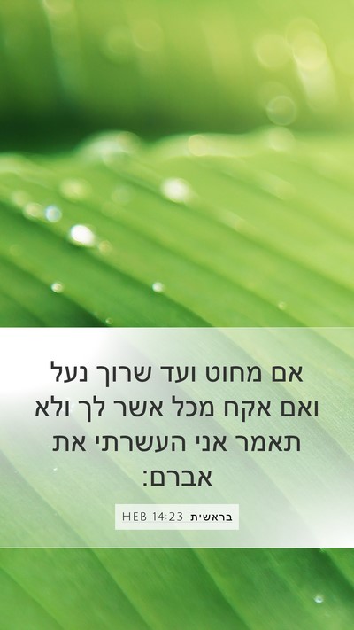 בראשית 14:23 HEB Bible Verse Image
