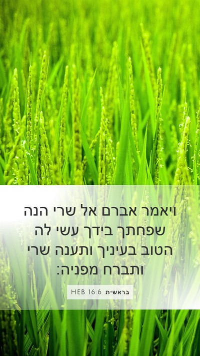 בראשית 16:6 HEB Mobile Phone Wallpaper - ויאמר אברם אל שרי הנה שפחתך - Mobile Bible Verse Wallpaper
