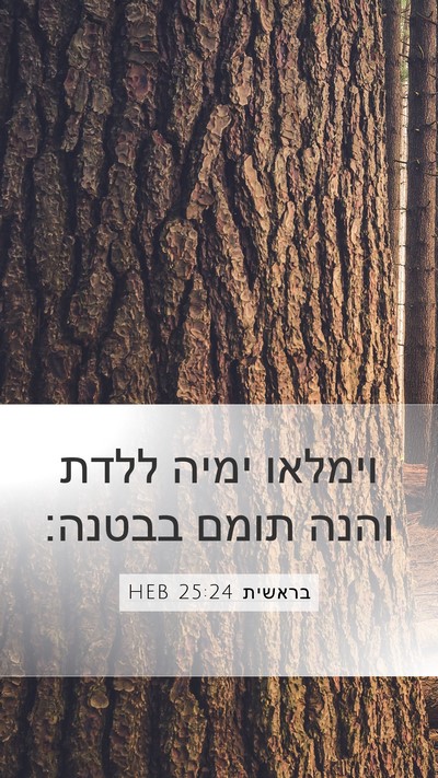 בראשית 25:24 HEB Bible Verse Image