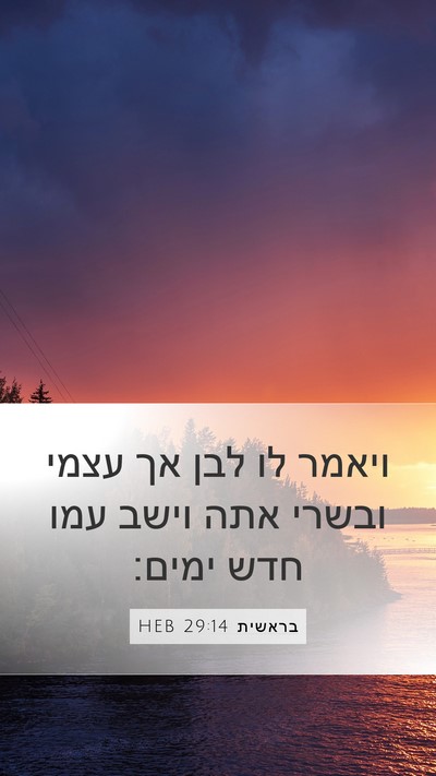 בראשית 29:14 HEB Bible Verse Image