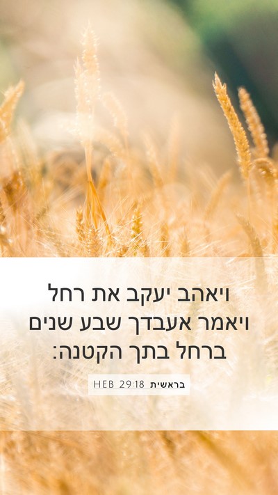 בראשית 29:18 HEB Bible Verse Image