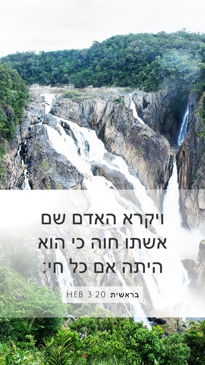 בראשית 3:20 HEB Mobile Phone Wallpaper - ויקרא האדם שם אשתו חוה כי - Mobile Bible Verse Wallpaper