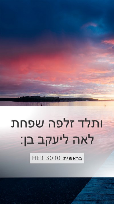 בראשית 30:10 HEB Bible Verse Image