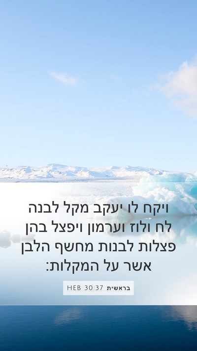בראשית 30:37 HEB Bible Verse Image