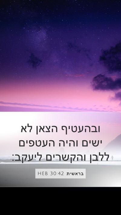 בראשית 30:42 HEB Mobile Phone Wallpaper - ובהעטיף הצאן לא ישים והיה - Mobile Bible Verse Wallpaper