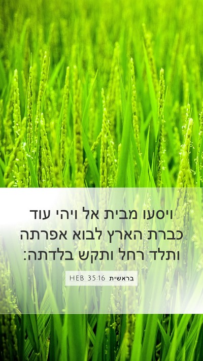 בראשית 35:16 HEB Bible Verse Image