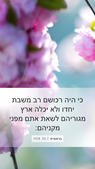 בראשית 36:7 HEB Bible Verse Image