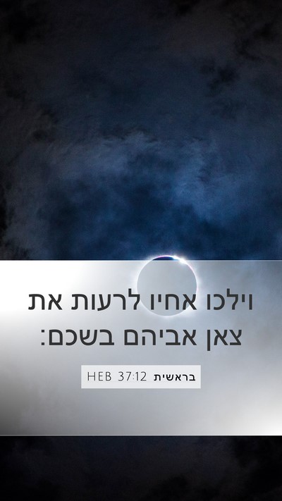 בראשית 37:12 HEB Bible Verse Image