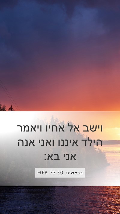 בראשית 37:30 HEB Bible Verse Image