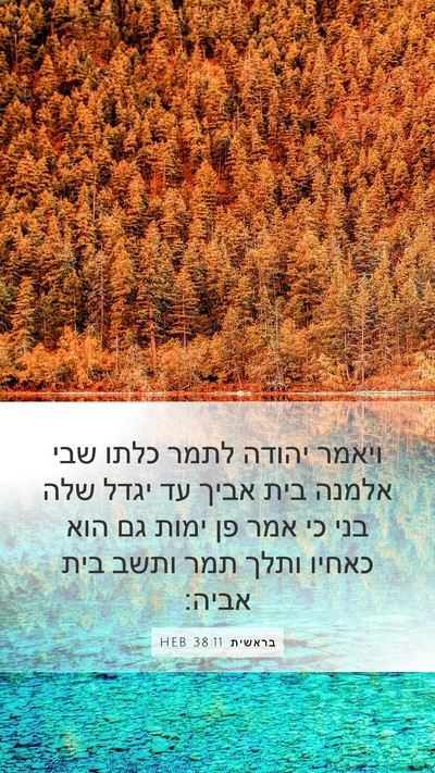 בראשית 38:11 HEB Bible Verse Image