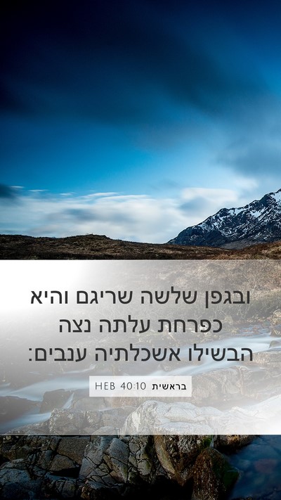 בראשית 40:10 HEB Mobile Phone Wallpaper - ובגפן שלשה שריגם והיא - Mobile Bible Verse Wallpaper