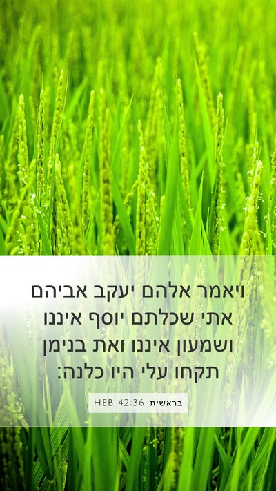 בראשית 42:36 HEB Bible Verse Image