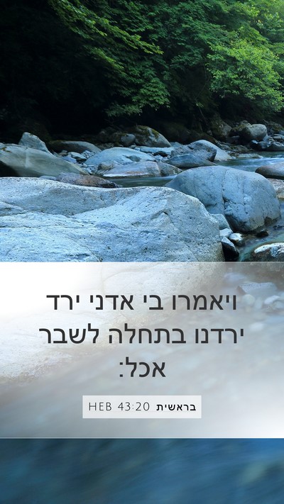 בראשית 43:20 HEB Bible Verse Image