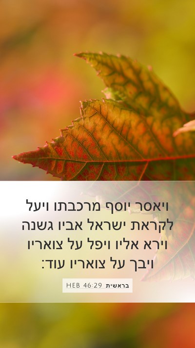 בראשית 46:29 HEB Bible Verse Image