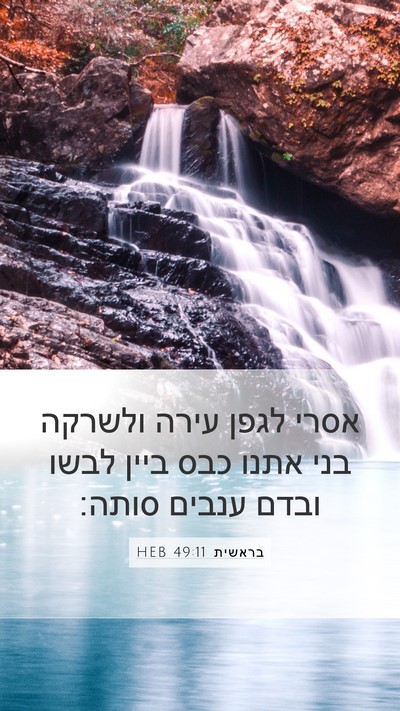 בראשית 49:11 HEB Bible Verse Image