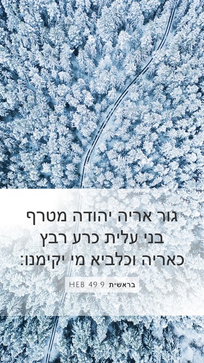 בראשית 49:9 HEB Bible Verse Image