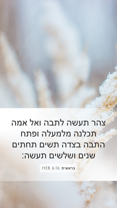 בראשית 6:16 HEB Mobile Phone Wallpaper - צהר תעשה לתבה ואל אמה תכלנה - Mobile Bible Verse Wallpaper