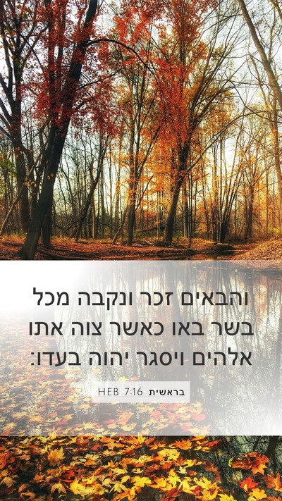 בראשית 7:16 HEB Mobile Phone Wallpaper - והבאים זכר ונקבה מכל בשר - Mobile Bible Verse Wallpaper