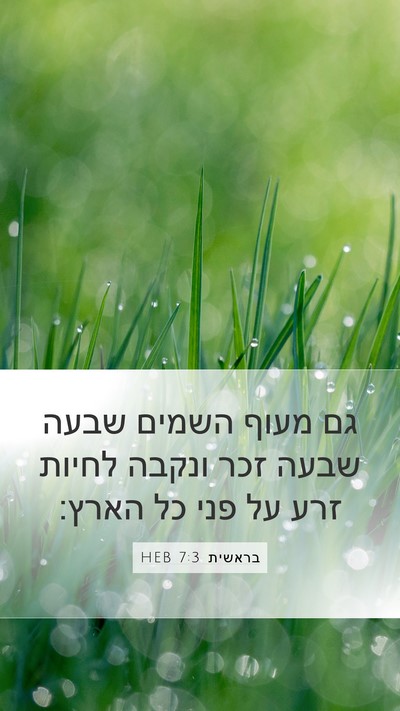 בראשית 7:3 HEB Mobile Phone Wallpaper - גם מעוף השמים שבעה שבעה זכר - Mobile Bible Verse Wallpaper