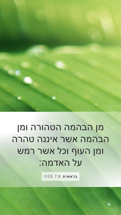 בראשית 7:8 HEB Mobile Phone Wallpaper - מן הבהמה הטהורה ומן הבהמה - Mobile Bible Verse Wallpaper
