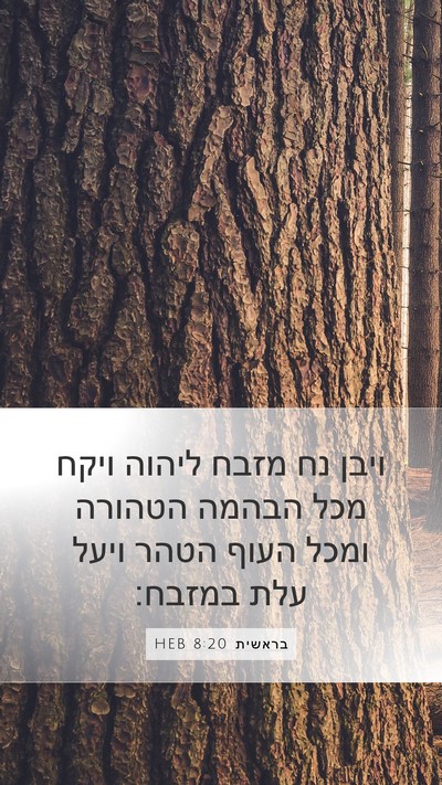 בראשית 8:20 HEB Bible Verse Image
