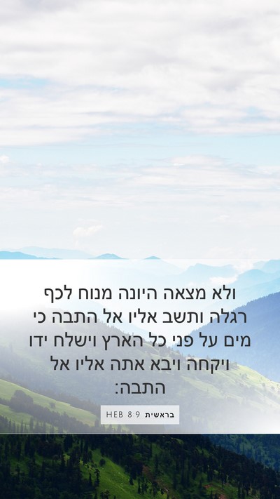 בראשית 8:9 HEB Bible Verse Image