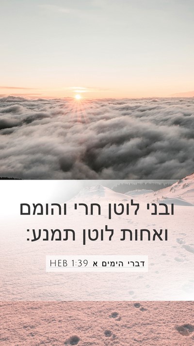 דברי הימים א 1:39 HEB Bible Verse Image