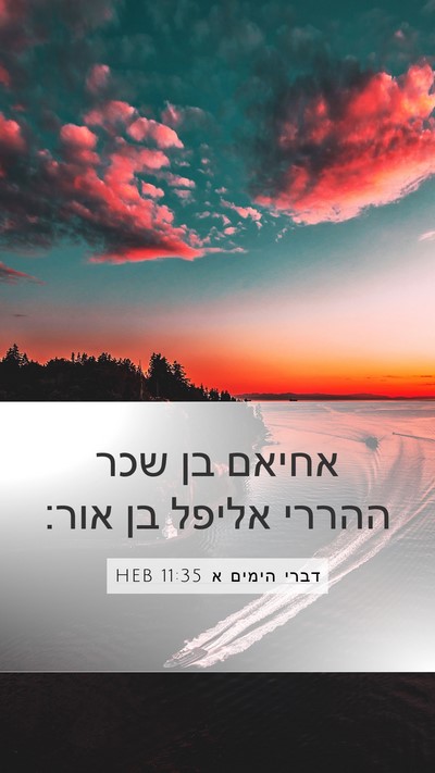 דברי הימים א 11:35 HEB Bible Verse Image