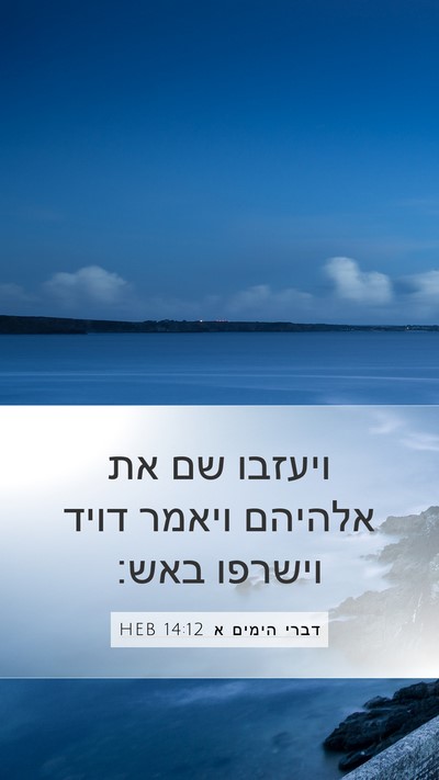 דברי הימים א 14:12 HEB Bible Verse Image