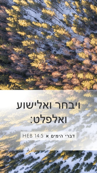 דברי הימים א 14:5 HEB Bible Verse Image