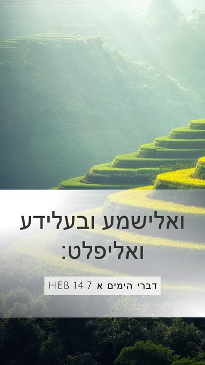 דברי הימים א 14:7 HEB Bible Verse Image