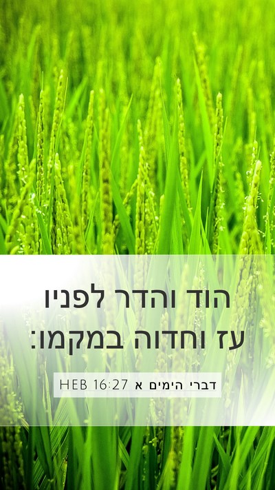 דברי הימים א 16:27 HEB Bible Verse Image