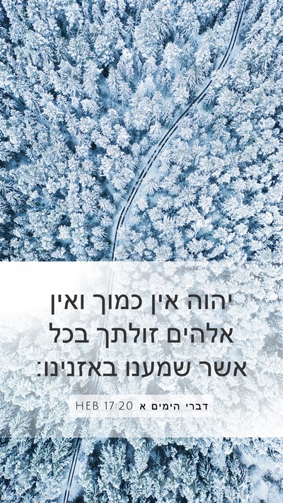 דברי הימים א 17:20 HEB Bible Verse Image