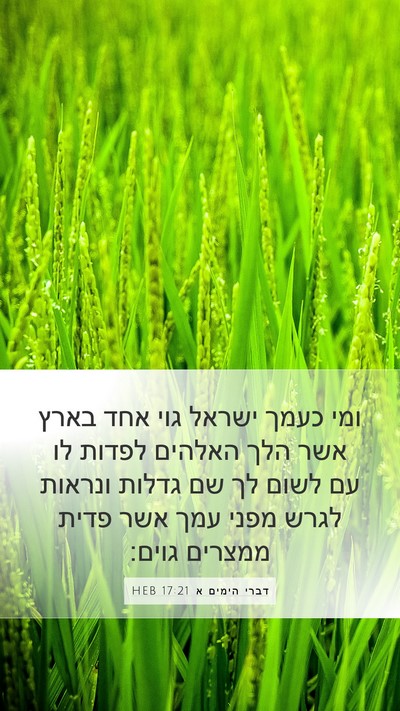 דברי הימים א 17:21 HEB Bible Verse Image