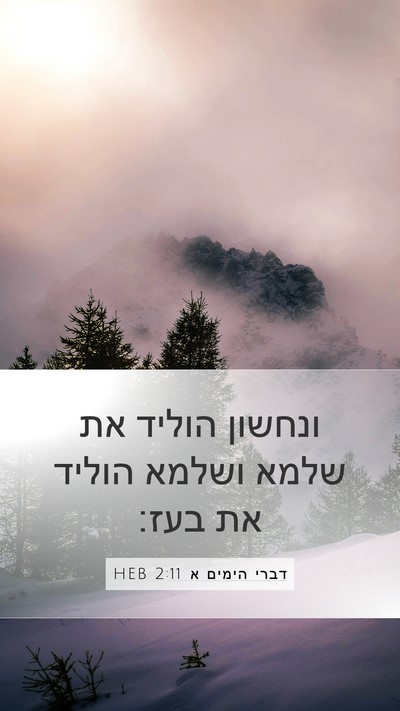 דברי הימים א 2:11 HEB Bible Verse Image