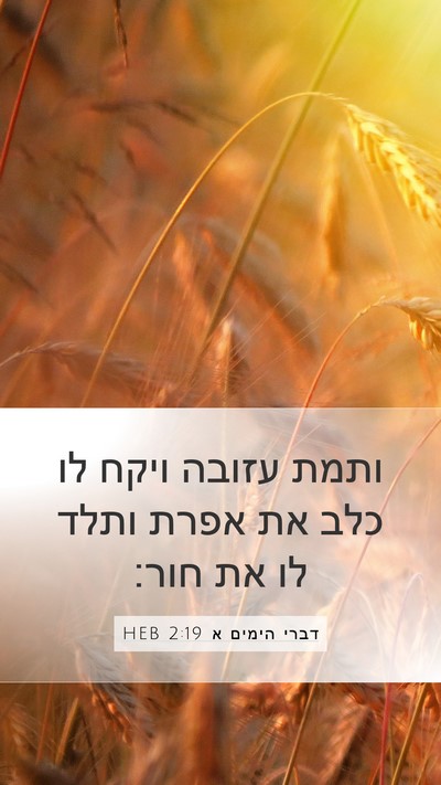 דברי הימים א 2:19 HEB Bible Verse Image