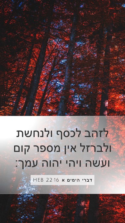 דברי הימים א 22:16 HEB Bible Verse Image