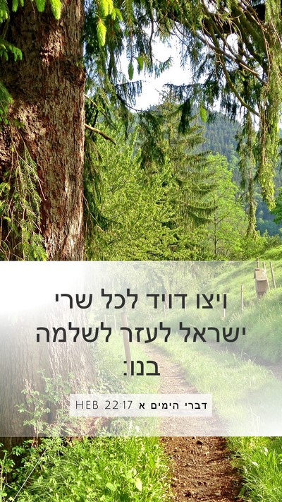 דברי הימים א 22:17 HEB Bible Verse Image