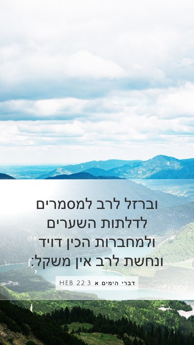 דברי הימים א 22:3 HEB Bible Verse Image