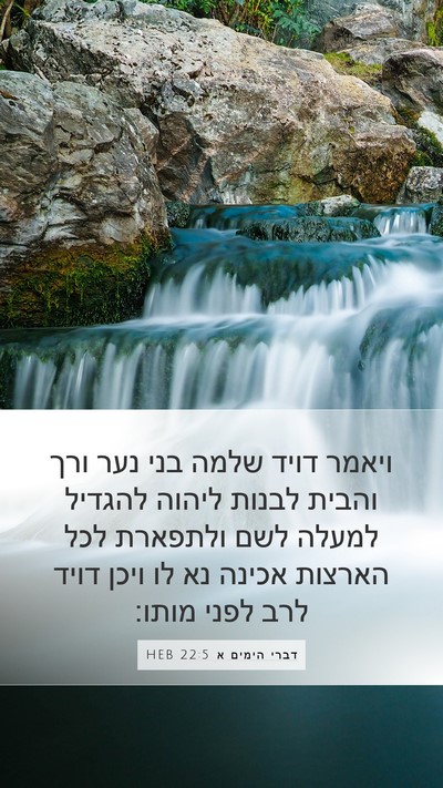 דברי הימים א 22:5 HEB Bible Verse Image