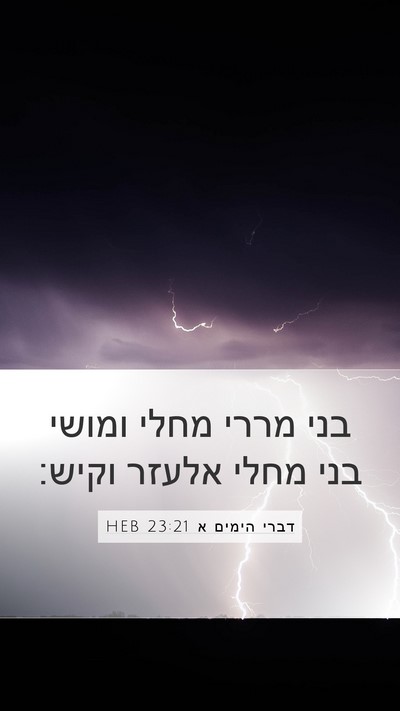 דברי הימים א 23:21 HEB Bible Verse Image