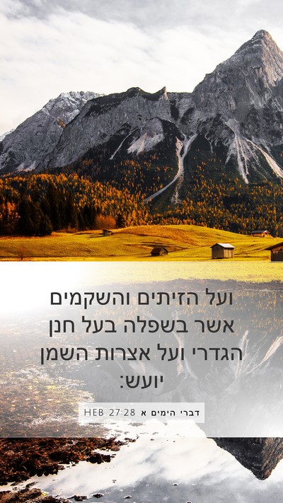 דברי הימים א 27:28 HEB Bible Verse Image