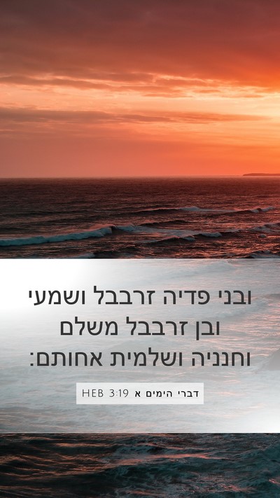 דברי הימים א 3:19 HEB Bible Verse Image