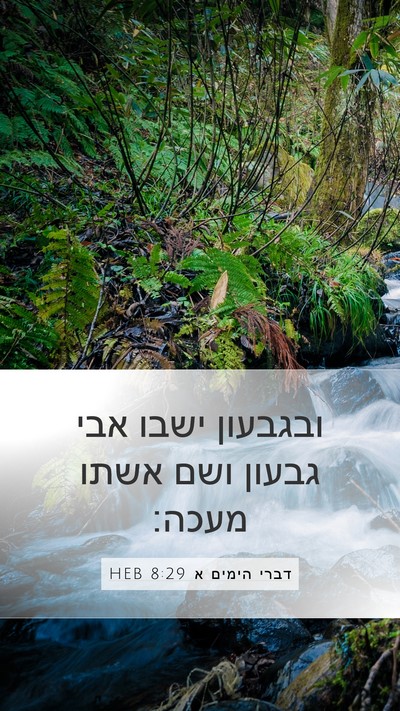 דברי הימים א 8:29 HEB Bible Verse Image